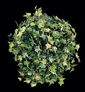 14 Inch Medium Ivy Ball | Clearance artificial foliages | Autograph
