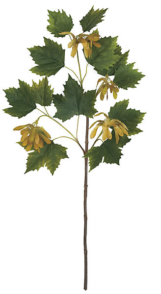 32 Inch Norway Maple Leaf Branch (Sold per piece) | Autograph Foliages