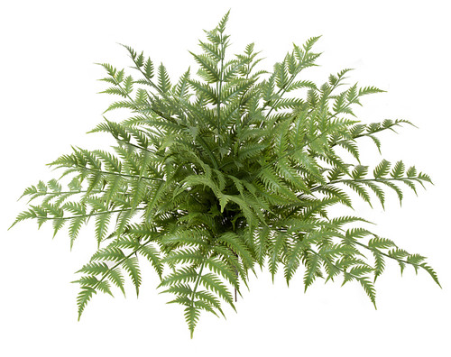 Morttic Artificial Plants Golden Fan Leaves, Fake Plant Bush Grass Fern  Bushes Faux Shrubs Greenery Indoor Outside Planter Filler Festival Home  Garden Seasons Autumn Decor Christmas Decoration - 2Pack 