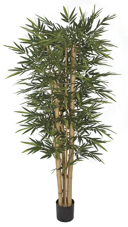 nieuwigheid Bermad ontslaan 7 Foot New Bamboo Tree with Thick / Thin Canes | Autograph Foliages