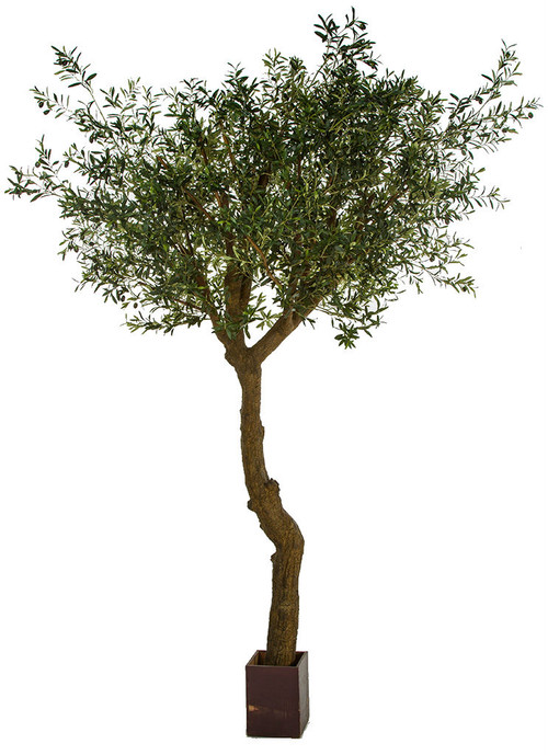 10 Foot Olive Tree with PVC Trunk and Wood Pot, Wholesale Greenery