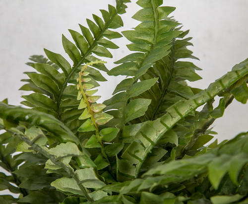 Artificial Ferns, Small Plant With Root, Green Ferns, Fuax Ferns, Summer  Greenery -  Israel