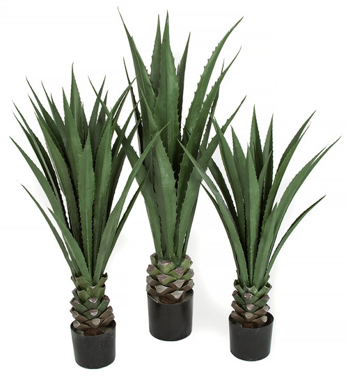 Faux Agave Cacti & Succulents Artificial Foliages | Autograph Foliages