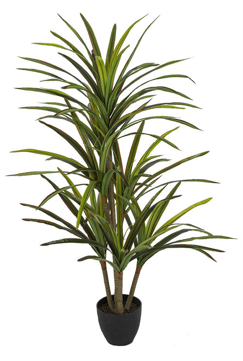 4.5' Natural-like Dracena Plant Artificial Plants and Trees | Autograph  Foliages