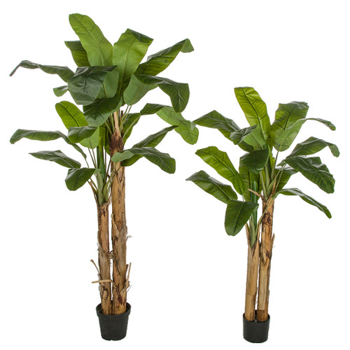 hobbie rhododendron shop Dwarf Rhododendron main image 0