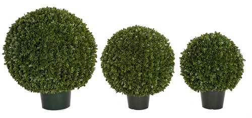 Boxwood Greenery Balls 11 Inch 