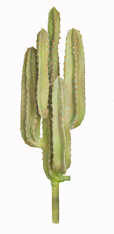 Tim Holtz Sizzix FUNKY CACTUS Thinlits Dies 665365 – Simon