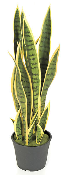 Artificial UV Protected Sansevieria 30IN Silk Plant Decor and More
