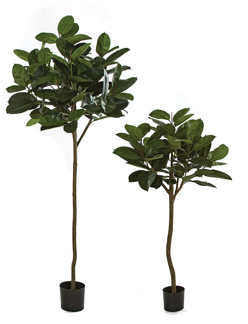 5' or 7' Artificial Rubber Trees | Natural Trunk Trees | Autograph Foliages