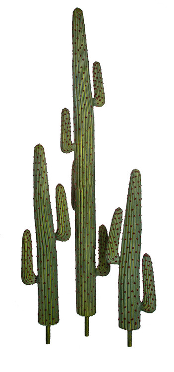 Green Saguaro Cactus with Reddish/Brown Needles | Cactus