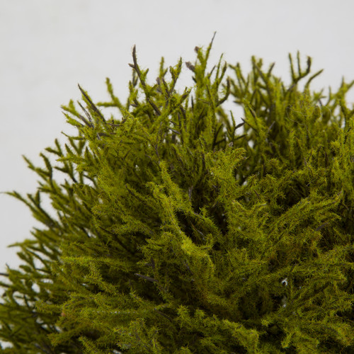 PM10273 ROUND ARTIFICIAL MOSS MAT,6in-12P – Green Import Limited