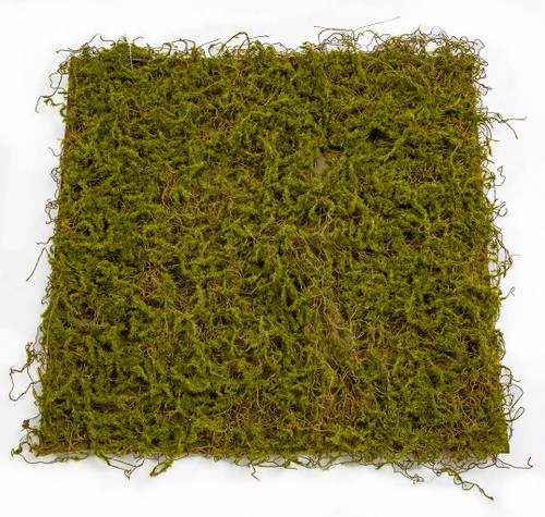 Artificial Mountain Sphagnum Moss Sheet, Silk Moss Sheets