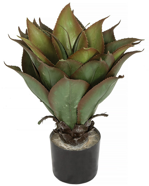 Artificial Potted Tabletop Succulents | Autograph Foliages