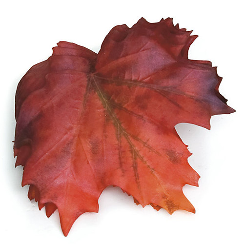 むぎゅうさ「Autumnal tints」 Red Leaf Free Autumn leaf isolated Image | Download at StockCake