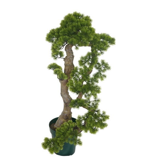 bonsai baum ikea wie oft gießen Ficus Microcarpa Ginseng S Form - 80cm main image 1