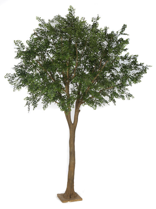 kuchenplatte rechteckig mit deckel Fürstenberg Herzog Ferdinand Weiß 36 cm Scent:Holiday Gumdrop