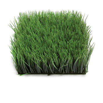 A squared shaped tile filled by grass.