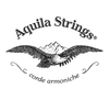 Aquila