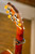 Shubb C1z Rosette 50th Anniversary Limited Edition Capo – Steel String 2" Curved with Tiger’s Eye Inlay