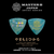 MASTER 8 Japan Hikaru Yamamoto (Aooo) Signature Pick, 1/pc