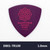 MASTER 8 JAPAN D-801 Triangle 1.0mm Guitar Pick – Purple
