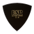 ESP PD-UE08 Ultem Edge Triangle 0.8mm Guitar Pick