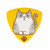 Daiking Triangle Guitar Picks, Cat, Dog and Food Designs, Made in Japan (Single Pick)