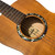 Jockomo Flowers Soundhole Rosette Inlay Sticker