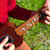 Jockomo Tree of Life with Hummingbird Fretboard Inlay Sticker for Ukulele, Soprano