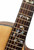 Jockomo Winding Vine & Bird Cindy Fret Marker Inlay Stickers