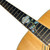 Jockomo Single Rose Fret Marker Inlay Stickers