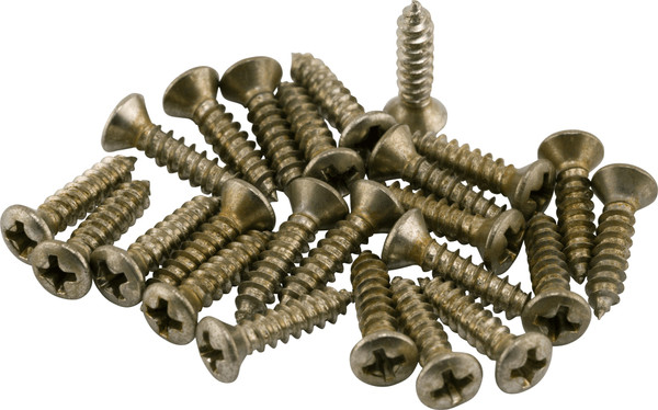 Fender Road Worn Pickguard/Control Plate Screws (24-Pack)