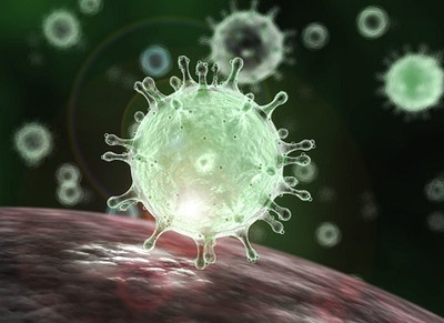 Coronavirus - All You Need To Know