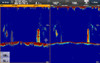 Raymarine CP470 CHIRP Sonar Module - Shotgun Marine Services Port Macquarie