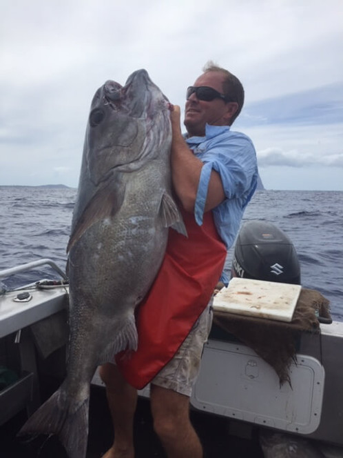 Furuno FCV295 Catch of the Day