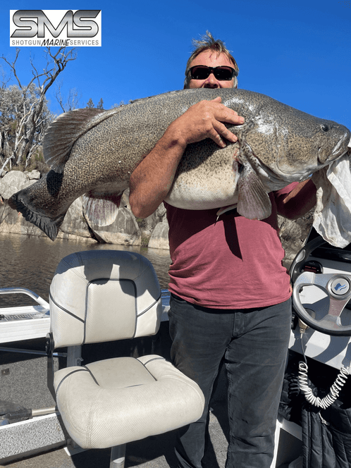 HDS Live with Lowrance Active Target - Catch of the Day