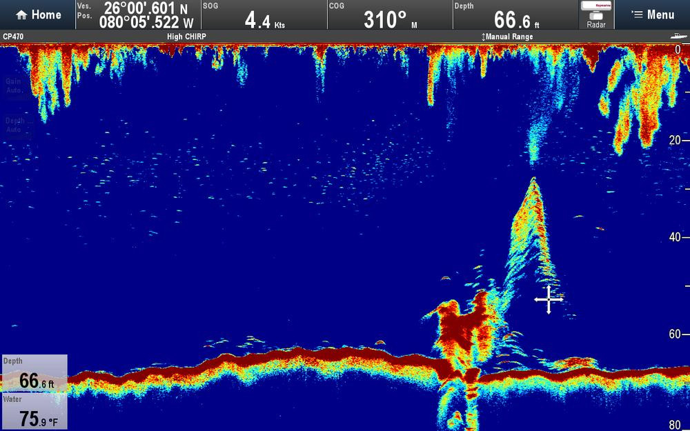 Raymarine CP470 CHIRP Sonar Module - Professional Marine Electronics Install Mid-North Coast