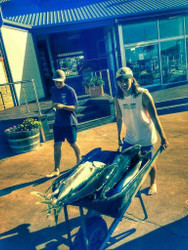 Young Guns haul the Kingfish