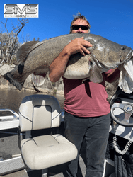 HDS Live with Lowrance Active Target - Catch of the Day