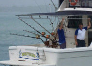 Newcastle Marine Electrical Services