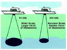 Sonar - Just how do they find fish? 