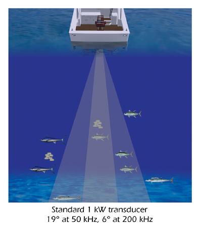 Sonar - Using sound to identify fish types - Shotgun Marine Services