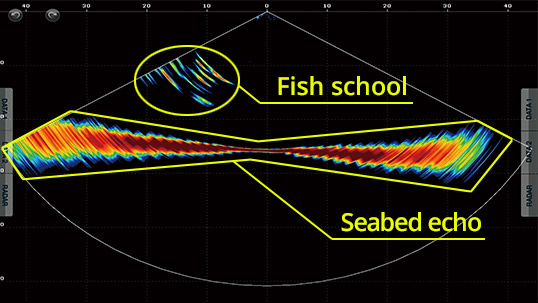 dff-3d-furuno-navnet-depth-best-price-sale.jpg