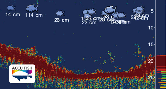 Deep impact CHIRP fishfinder