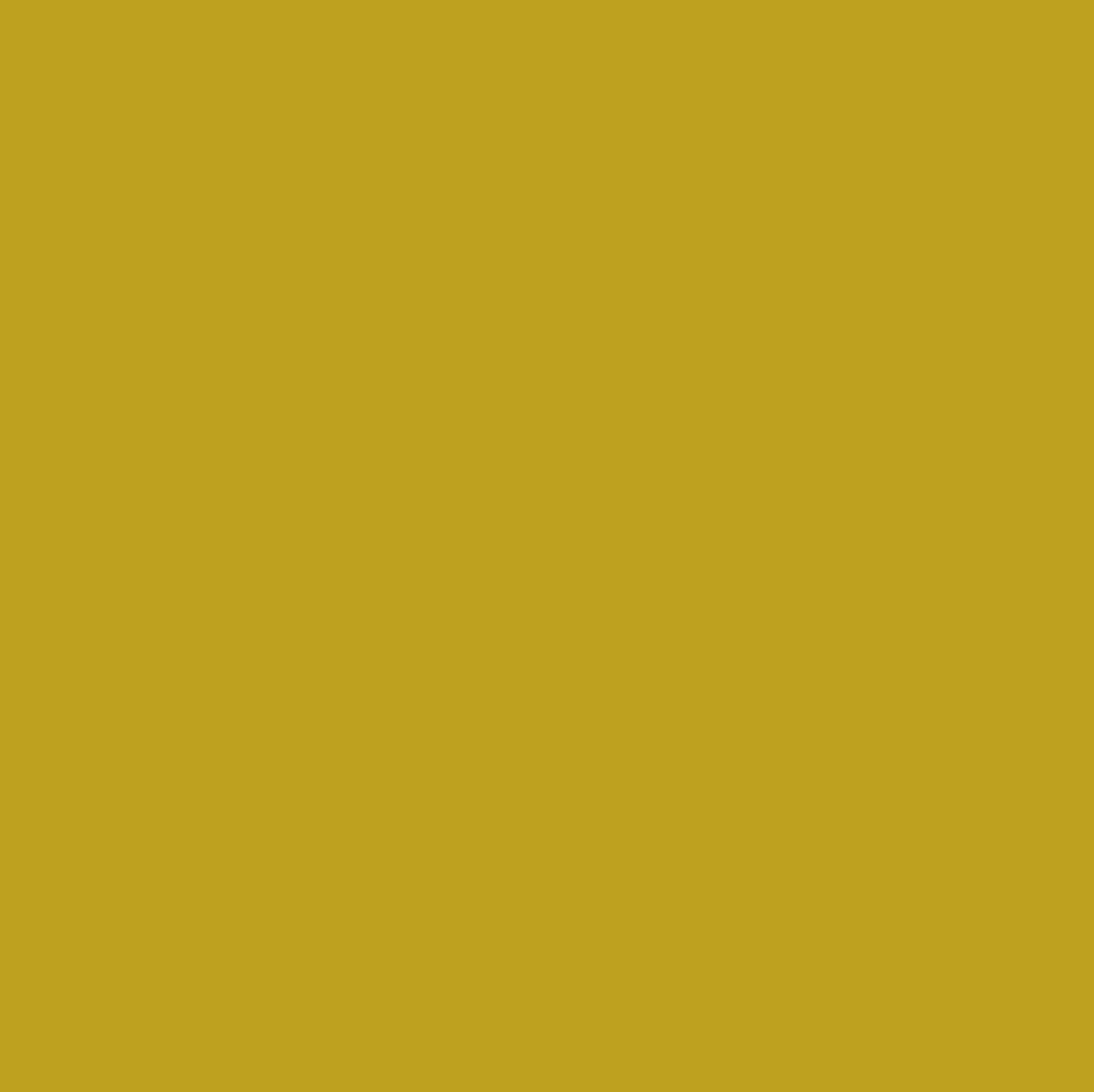 Toucan Paint - 111070_TILE_TOUCAN_01.jpg