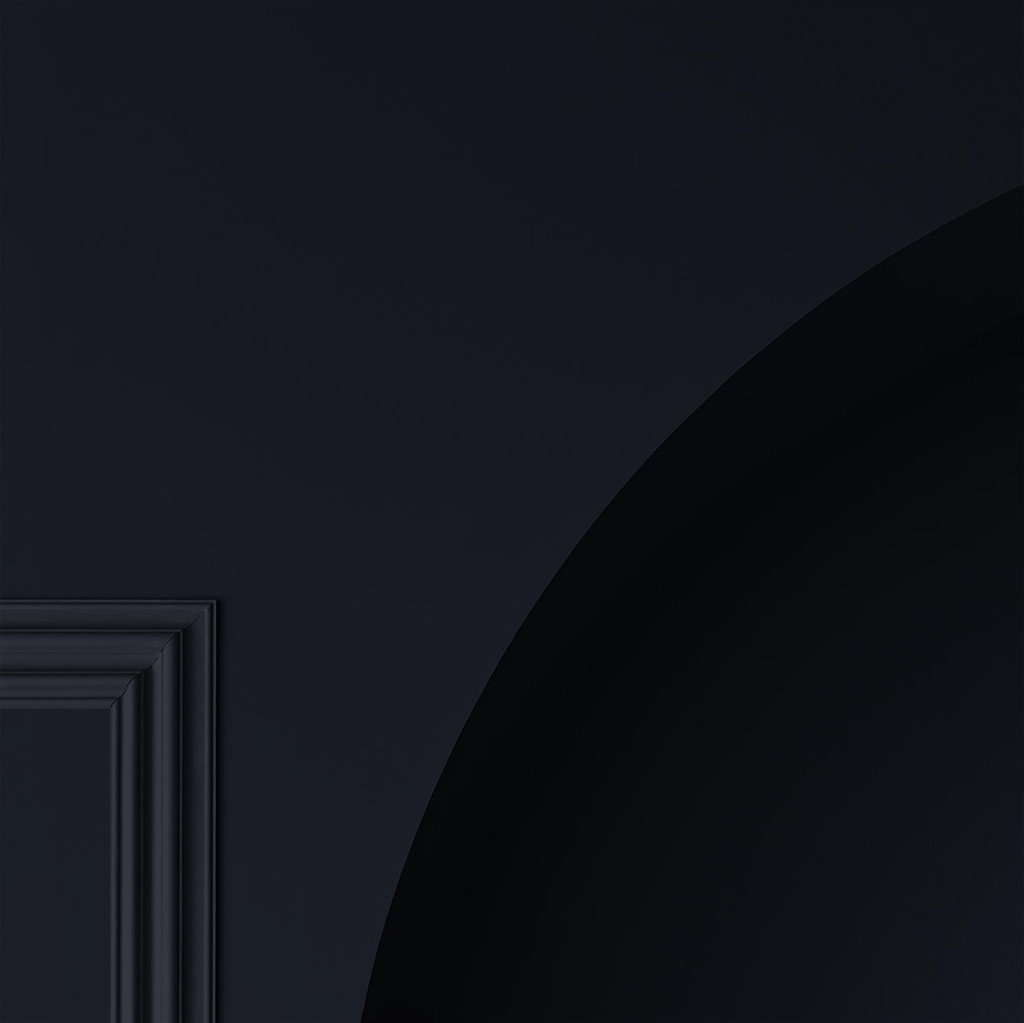 Rhapsody Paint - 110625_CAMEO_01.jpg