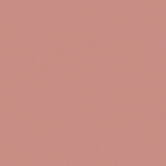 Highland Rose Paint - 109885_TILE_HIGHLAND ROSE_01.jpg