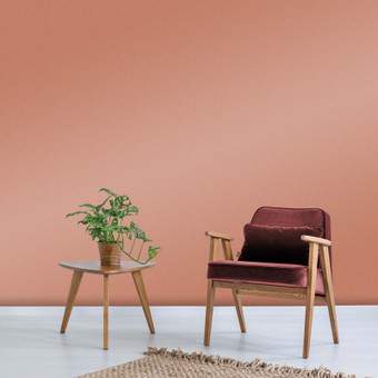 Sienna Paint - 110784_ROOMSET_SIENNA_02.jpg