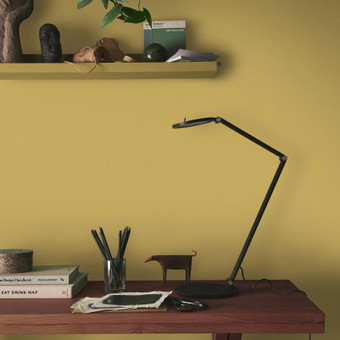 Burnt Saffron Paint - 109145_ROOMSET_.jpg