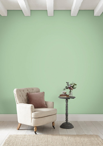 Smashed Avocado Paint - 110806_ROOMSET_SMASHED AVOCADO_02.jpg
